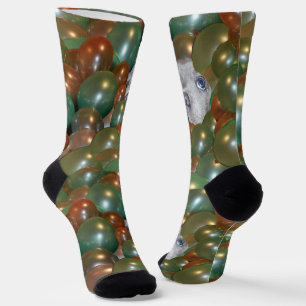 Pop Fest: ein lustiger, freudvoller Welpe in den B Socken