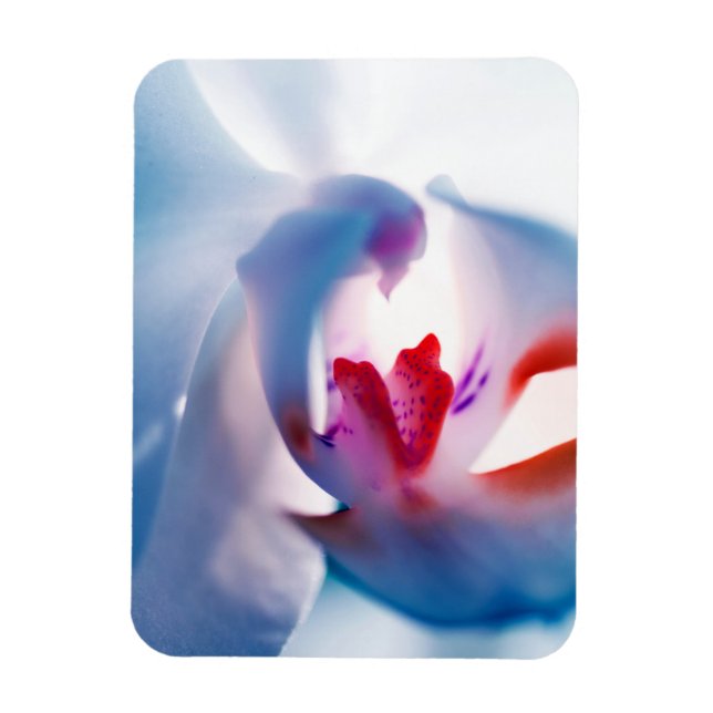 Pop für Farbgestaltung Weiches Foto-Magnet Magnet (Vertikal)