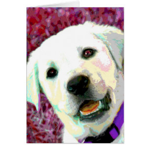 Pop KUNST Labradorwelpe