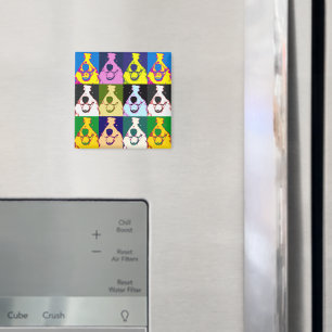 Pop Lugano Unexpected Classic Tour Magnet