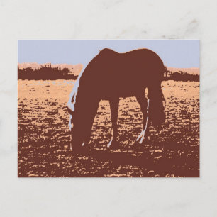 Pop Reiten Postkarte