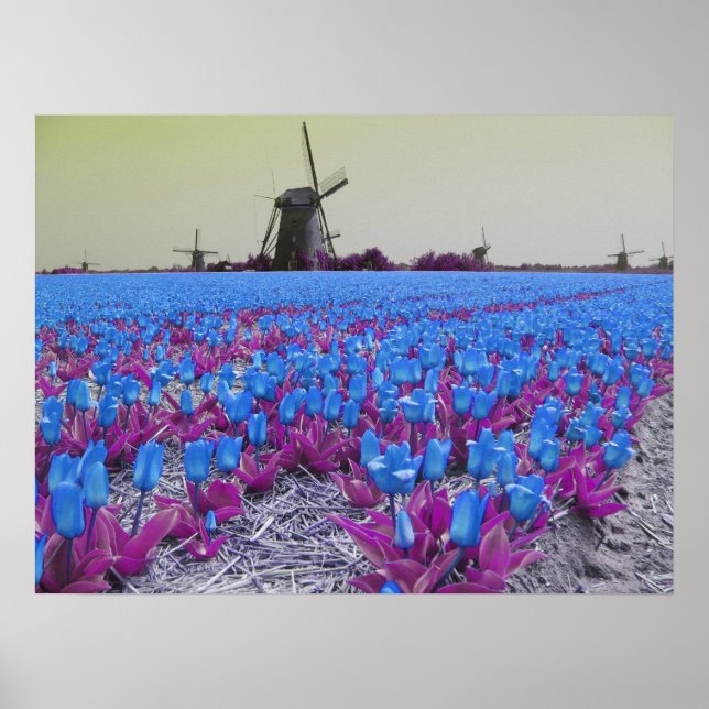 Popart Blue Tulips Windmills Landschaft Poster (Vorne)
