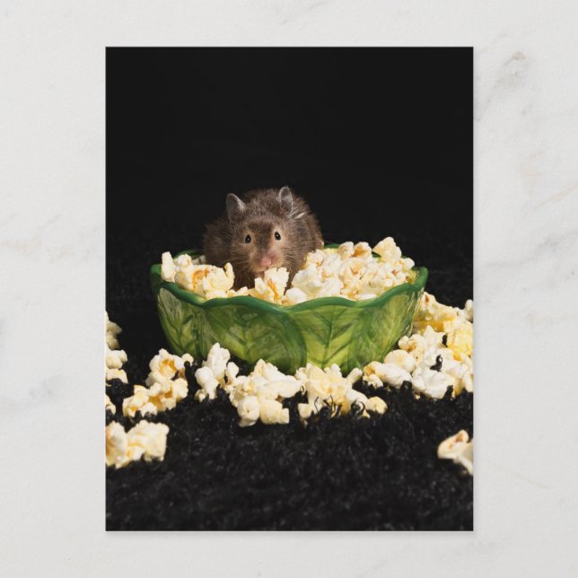Popcorn-Liebhaber Postkarte (Vorderseite)
