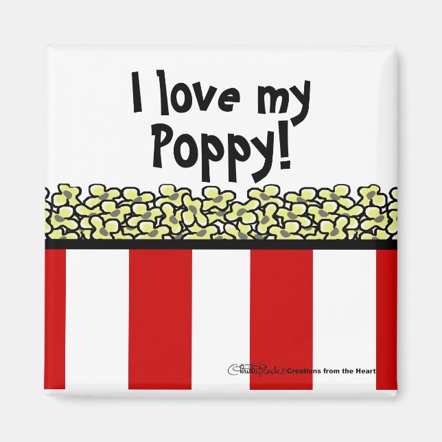 Popcorn Magnet (Vorne)