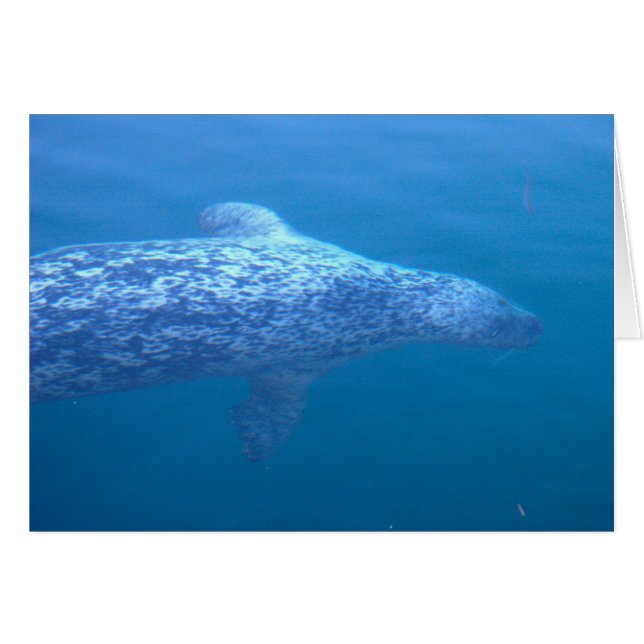 Popeye le joint (Devant horizontal)