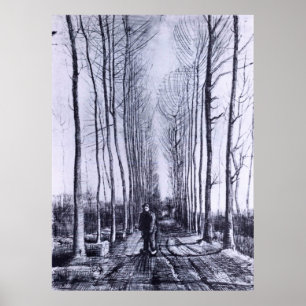 Poplar avenue by Vincent van Gogh Poster