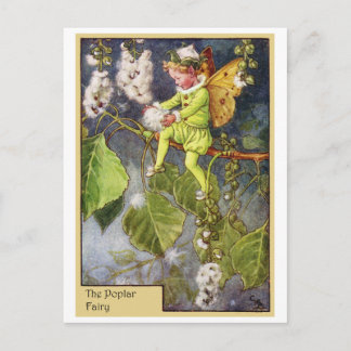 Poplar Fairy Postkarte