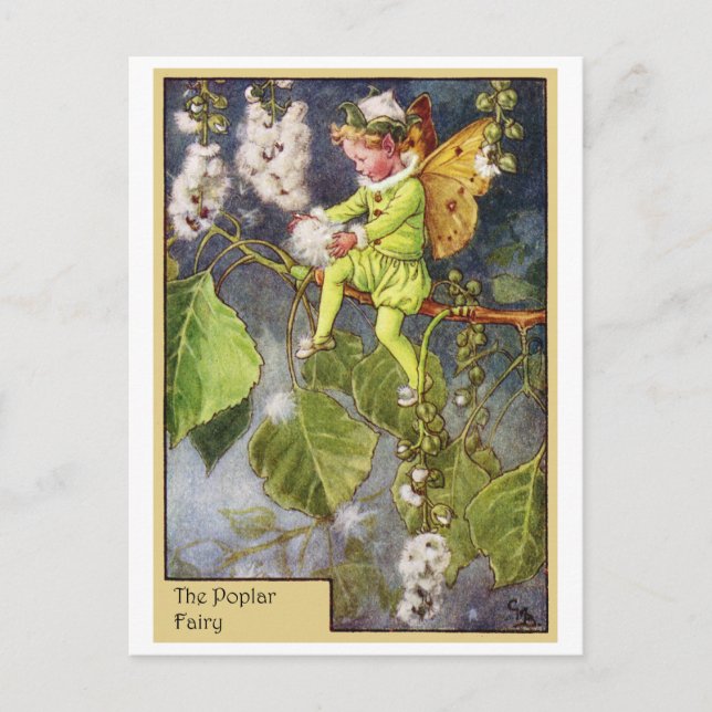 Poplar Fairy Postkarte (Vorderseite)