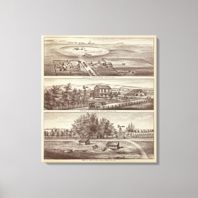 Poplar-Ranches Leinwanddruck (Vorderseite)