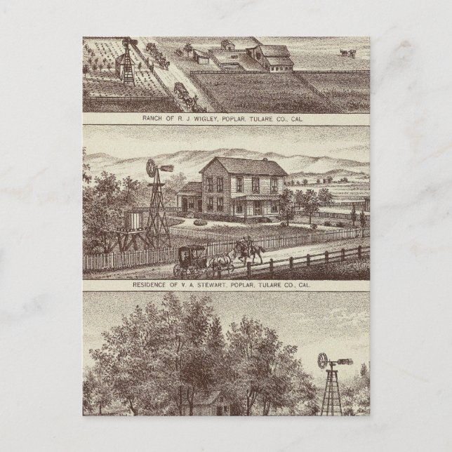 Poplar-Ranches Postkarte (Vorderseite)