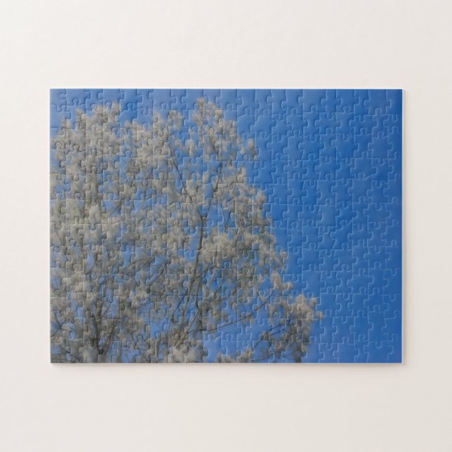 Poplar Tree Fluff Schnee im Juni (Horizontal)