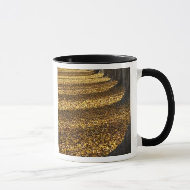 Poplarbaume im Herbst, Wanakasee, Otago, Tasse (Rechts)