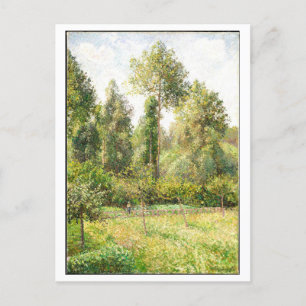 Poplars und Wiesenmalerei von Pissarro Postkarte