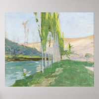 Poplars wachsen in der Nähe eines Wasserkurses