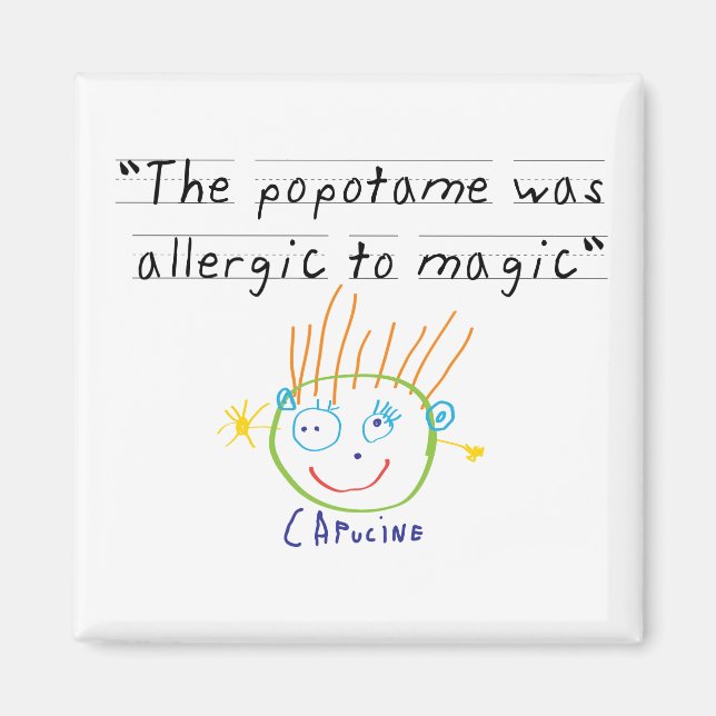 Popotame-Magnet Magnet (Vorne)