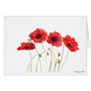 Poppies