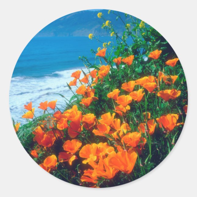 Poppies along the Pacific Coast near Big Sur Runder Aufkleber (Vorderseite)