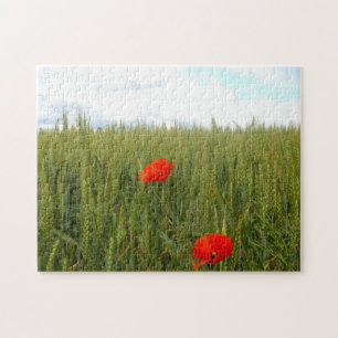Poppies dans le champ de blé Puzzle photo avec boî