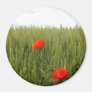 Poppies dans un champ de blé Grand aimant rond
