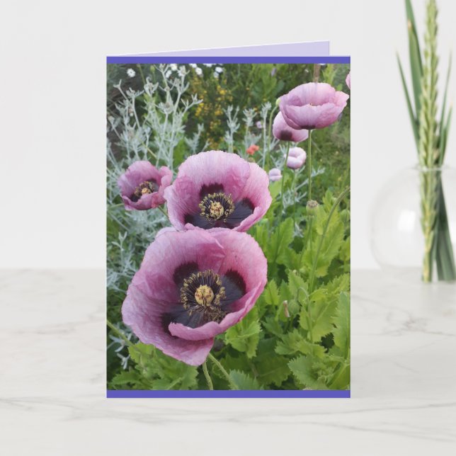 Poppies de pavot Pink violet Fleurs Carte d'annive (Devant)