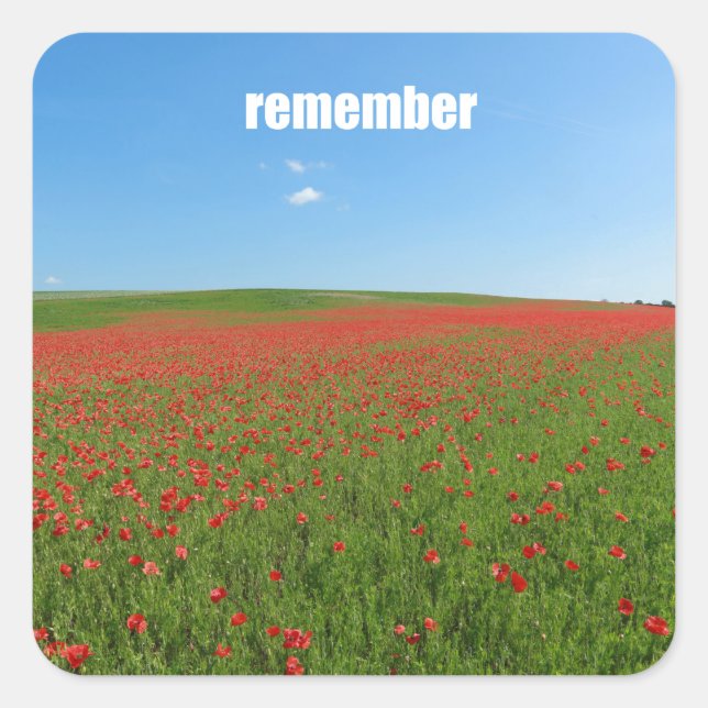 Poppies erinnern sich quadratischer aufkleber (Vorderseite)