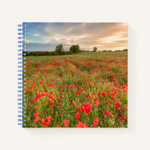 Poppies-Feld Notizbuch