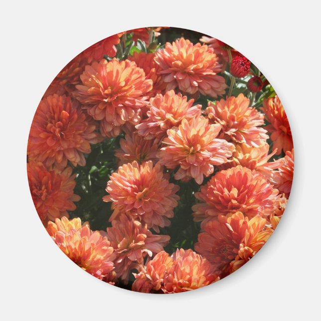 Poppies I Magnet (Vorne)