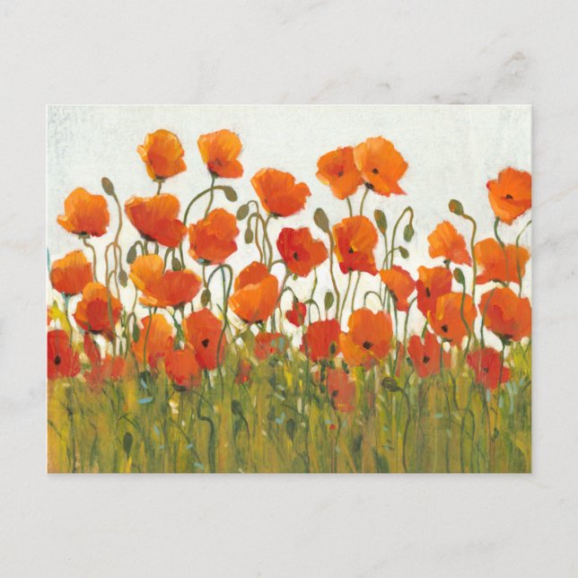Poppies I Postkarte (Vorderseite)