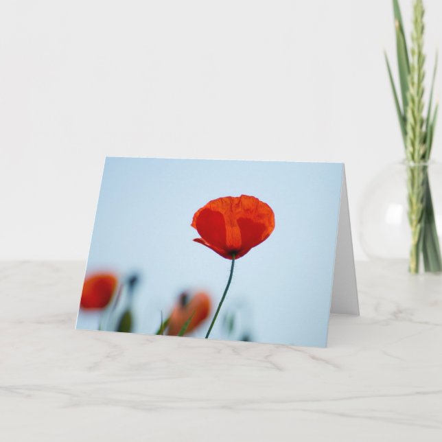 Poppies in einem Feld in Nidd Karte (Vorderseite)