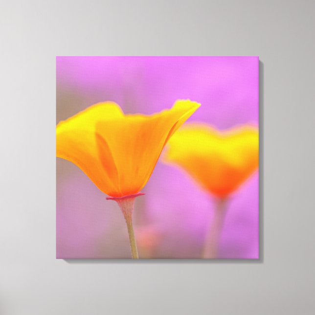 Poppies Leinwanddruck (Vorderseite)