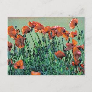 Poppies Nr. 4 Postkarte