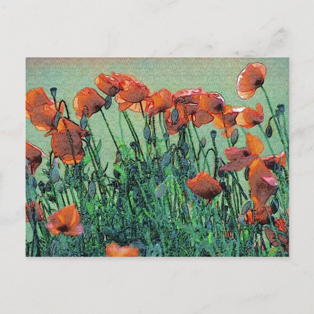 Poppies Nr. 4 | Postkarte (Vorderseite)