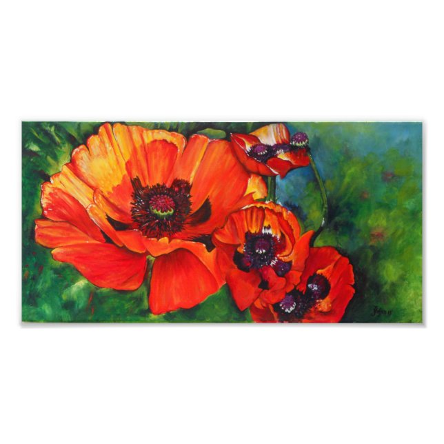 Poppies orientales orange | Impression photo (Devant)