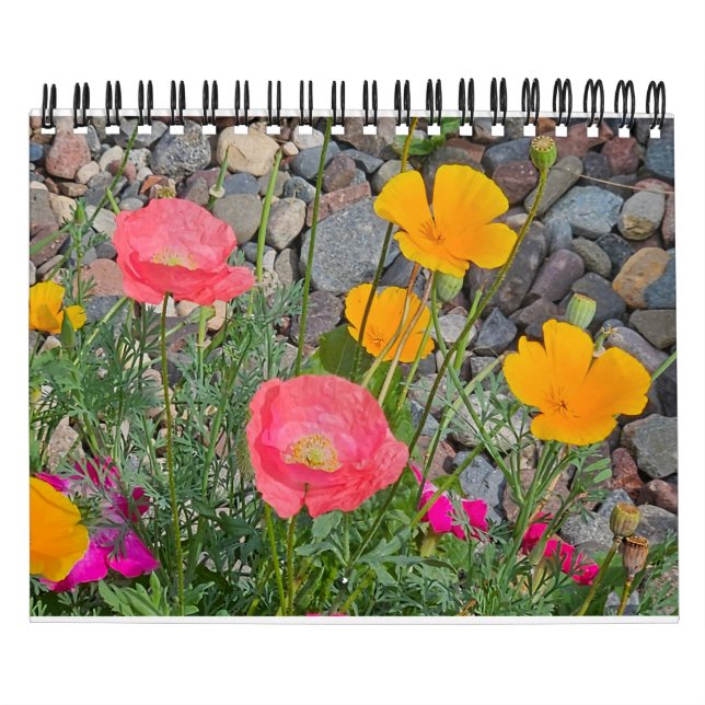 Poppies-Parade Kalender (Titelbild)