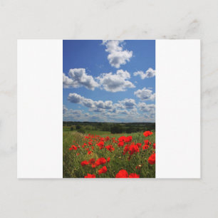 Poppies Postkarte
