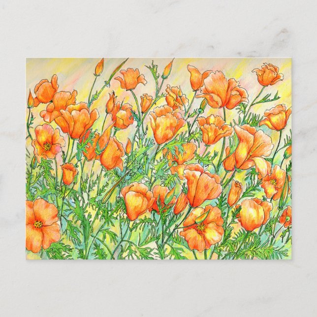 Poppies Postkarte (Vorderseite)