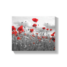 Poppies schwarz, weiß und rot
