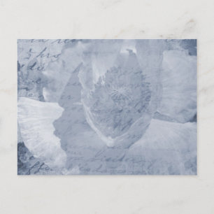 Poppy 2 postkarte