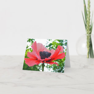 Poppy Blank Notecard Karte