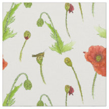 Poppy Blume Botanische Illustration Rote Flora