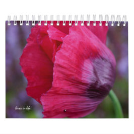 Poppy-Blume Kalender