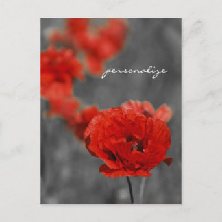Poppy Comet Postkarte