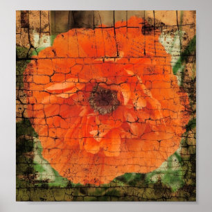 Poppy Crackle Poster