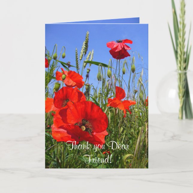POPPY FELD ~ Karte für Freunde (Vorderseite)