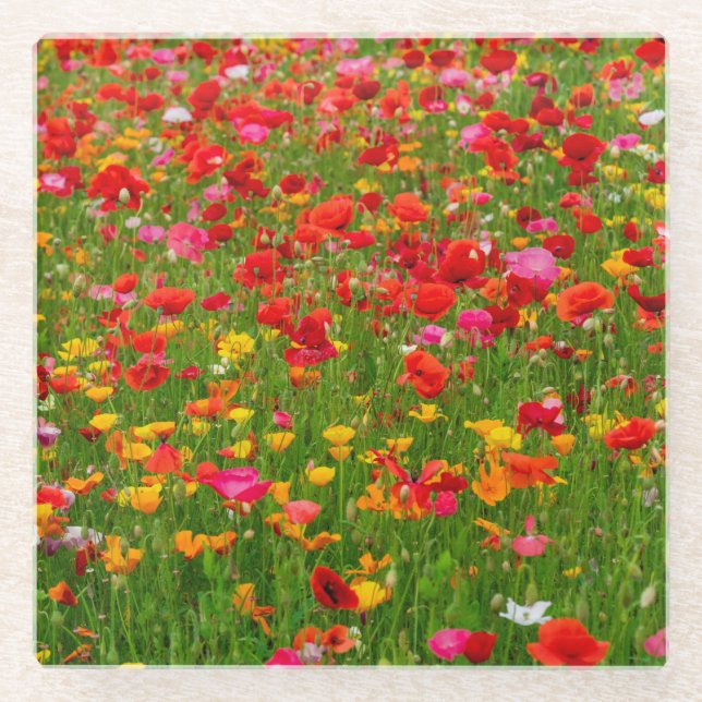 Poppy Field Glass Untersetzer (Vorderseite)