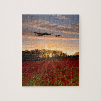 Poppy Field Pass