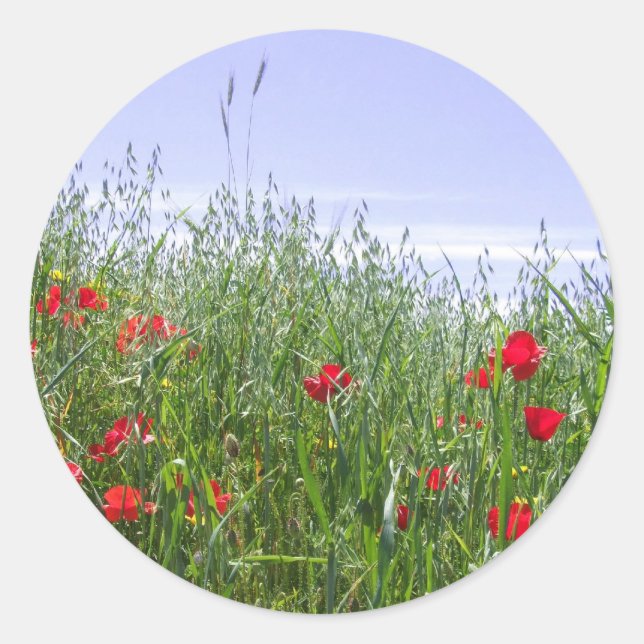 Poppy Field Stickers (Vorderseite)