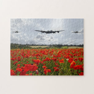 Poppy Flypast