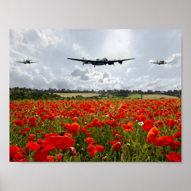 Poppy Flypast Poster (Vorne)