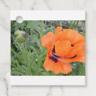 Poppy-Geschenkmarke Geschenkanhänger